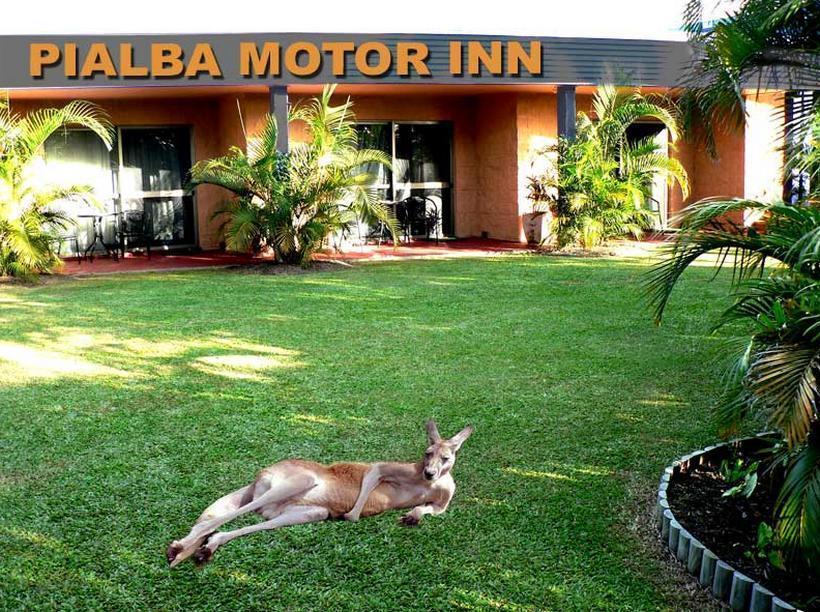 הרווי ביי Pialba Motor Inn מראה חיצוני תמונה